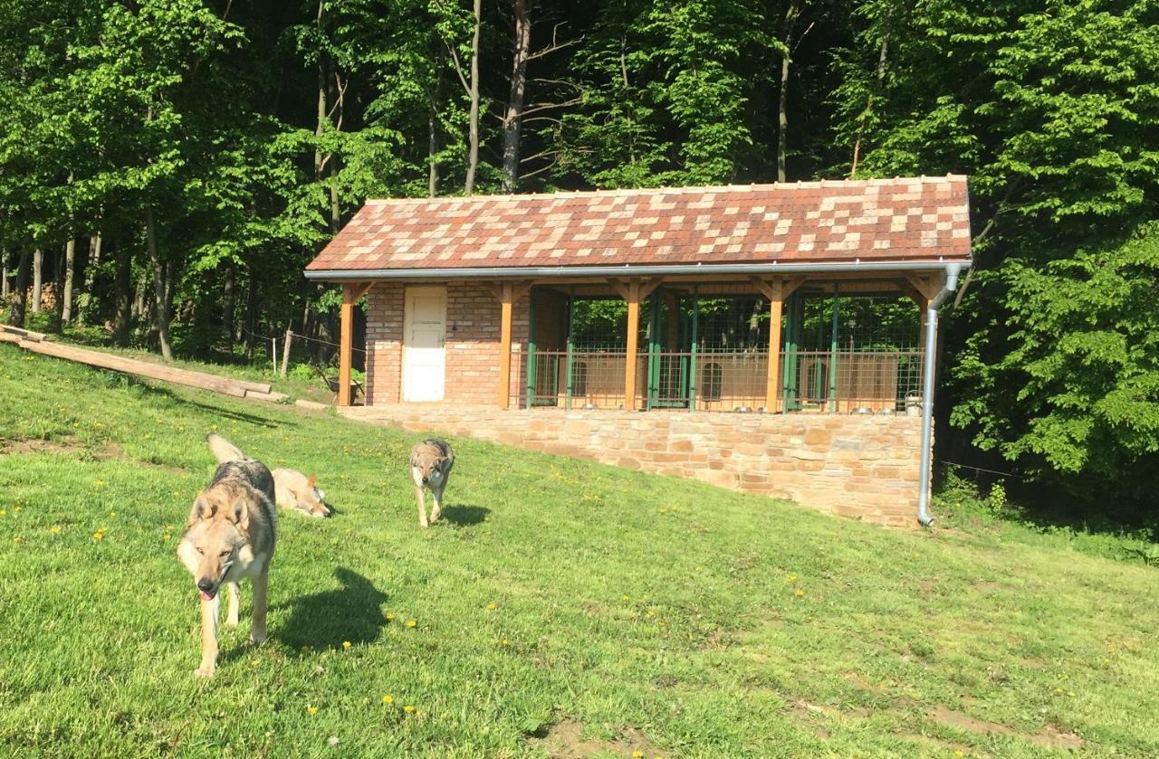 Chata Koniaren Villa Pavlovce Eksteriør bilde